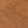 Classic Custom Swatch - Large