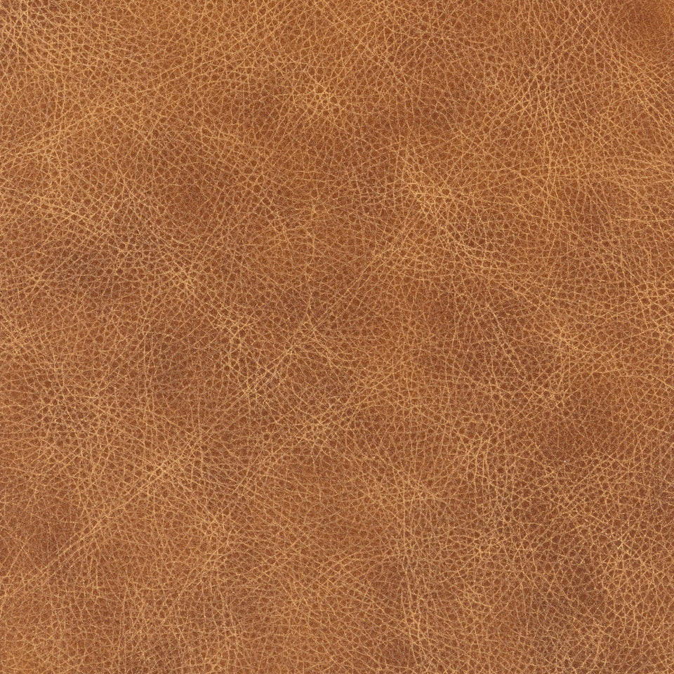 Caplan Ottoman