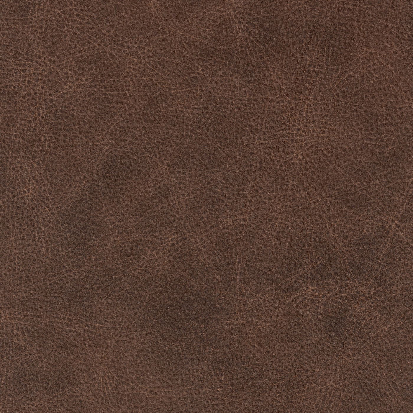 Classic Custom Swatch - Large