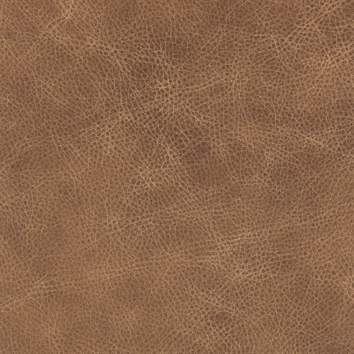 El Paso Sand fabric swatch