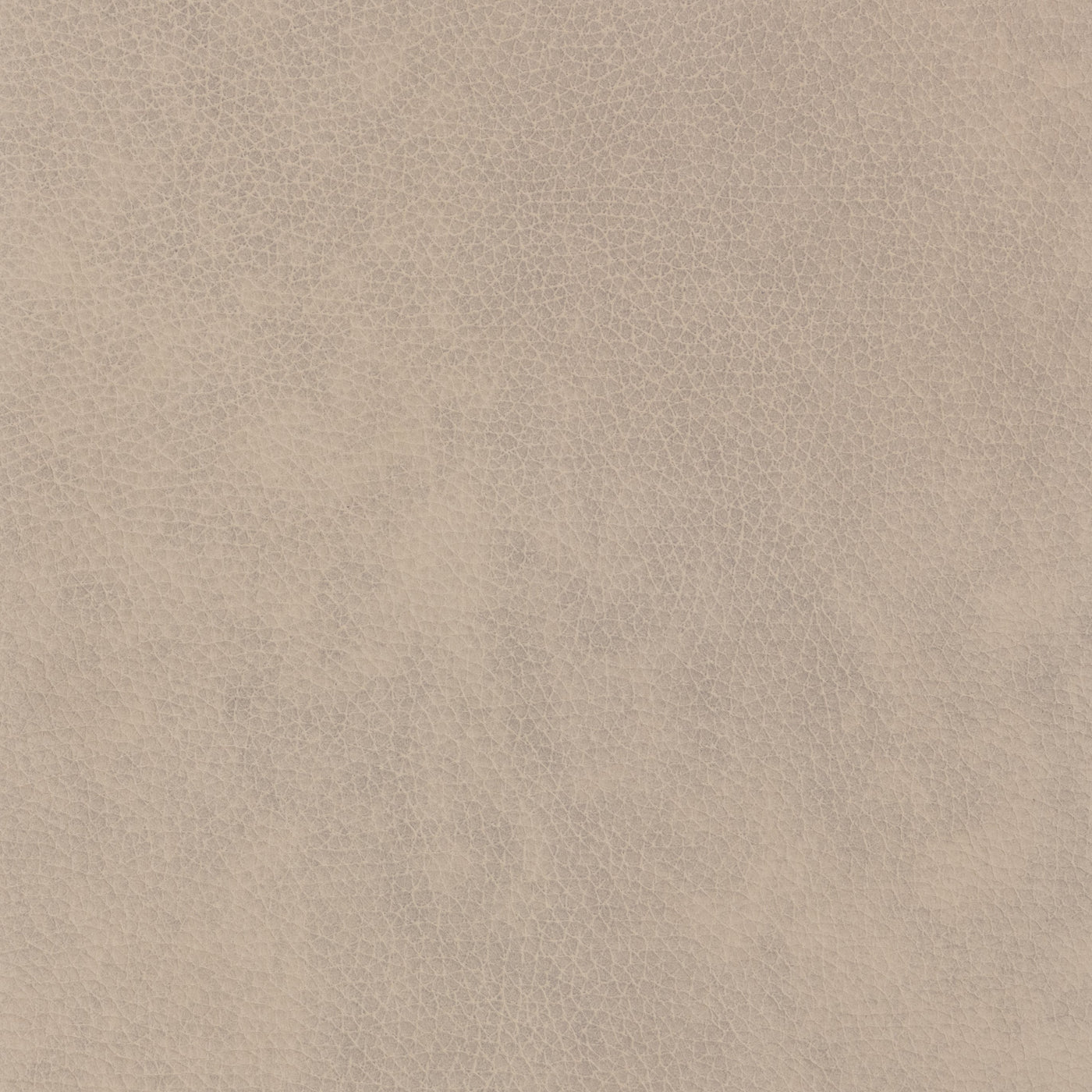 Classic Custom Swatch - Large