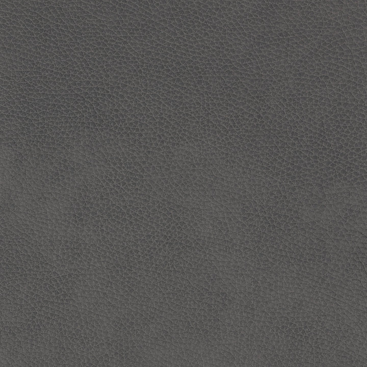 Lush Gray fabric swatch