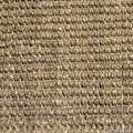 Seagrass Rug