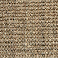 Seagrass Rug