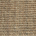 Seagrass Rug