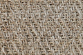 Misti Rug