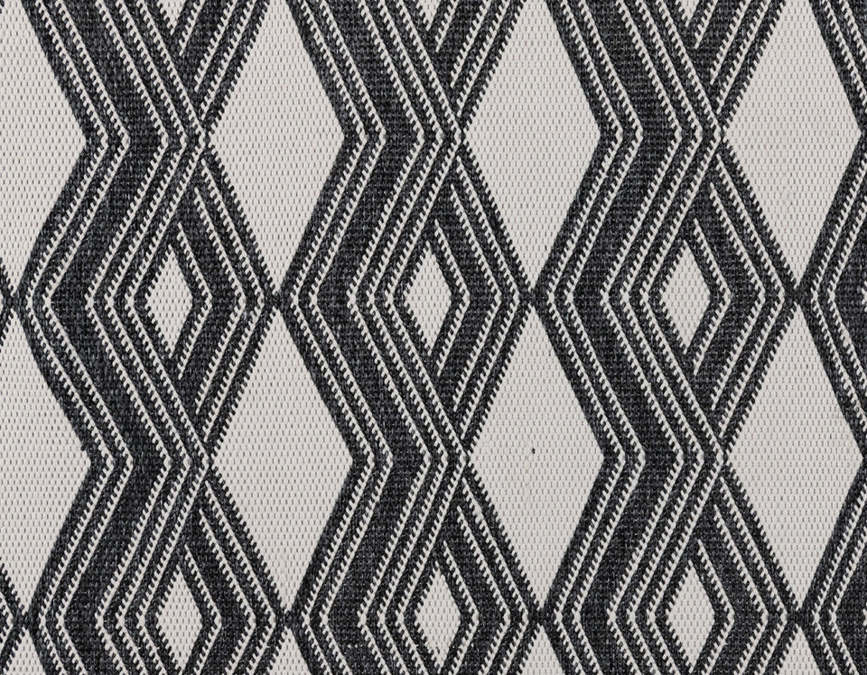 Indoor/Outdoor Banning Rug