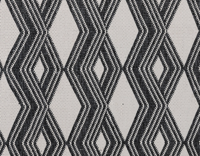 Indoor/Outdoor Banning Rug