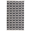 Indoor/Outdoor Banning Rug