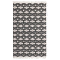 Indoor/Outdoor Banning Rug
