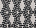 Indoor/Outdoor Banning Rug