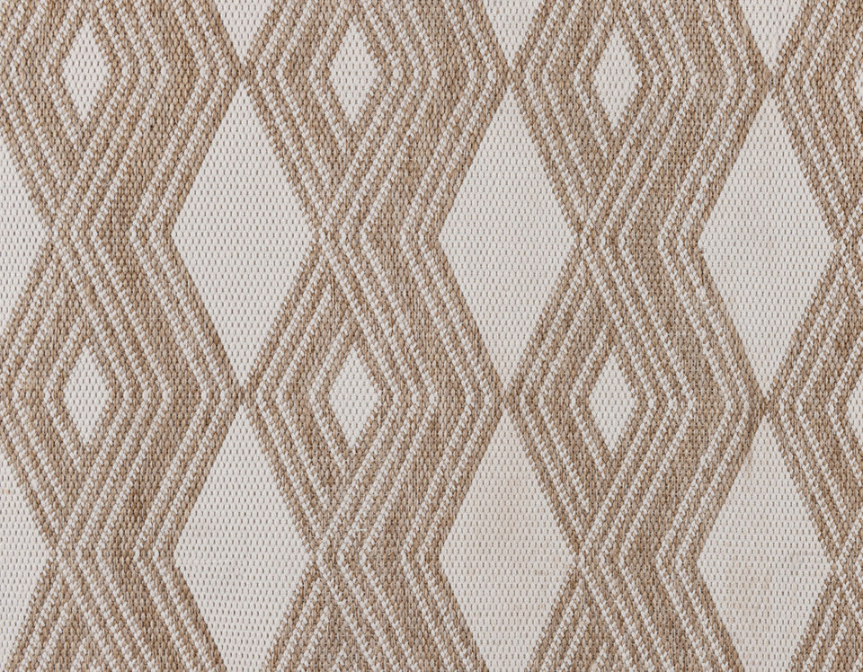 Indoor/Outdoor Banning Rug