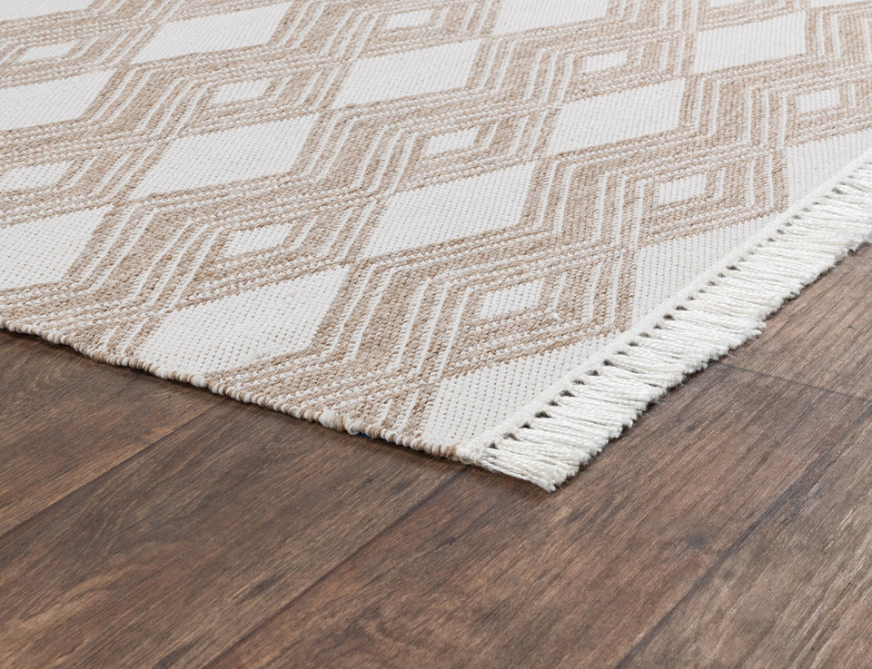 Indoor/Outdoor Banning Rug