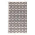 Indoor/Outdoor Banning Rug