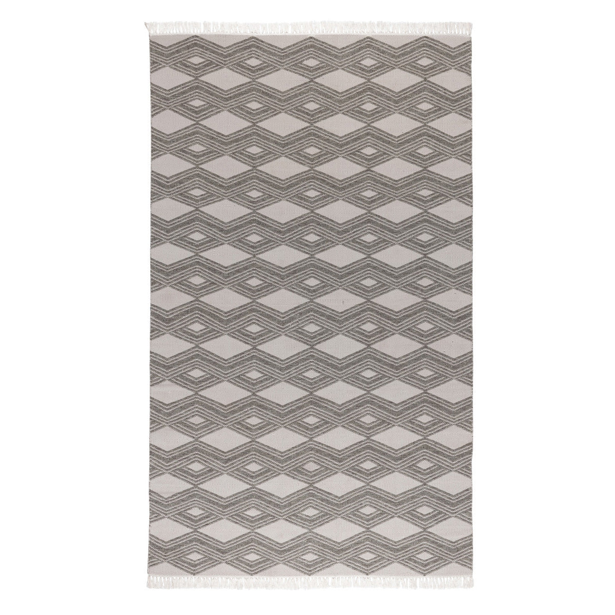 Indoor/Outdoor Banning Rug