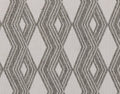 Indoor/Outdoor Banning Rug