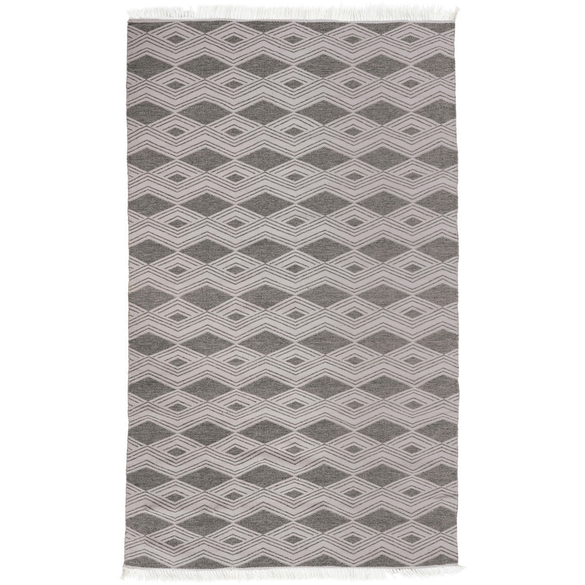Indoor/Outdoor Banning Rug