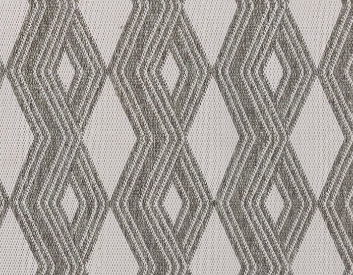 Indoor/Outdoor Banning Rug