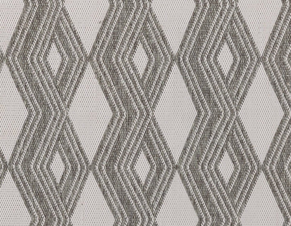 Indoor/Outdoor Banning Rug
