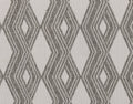 Indoor/Outdoor Banning Rug