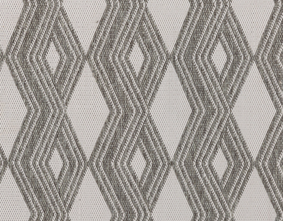 Indoor/Outdoor Banning Rug