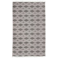 Indoor/Outdoor Banning Rug