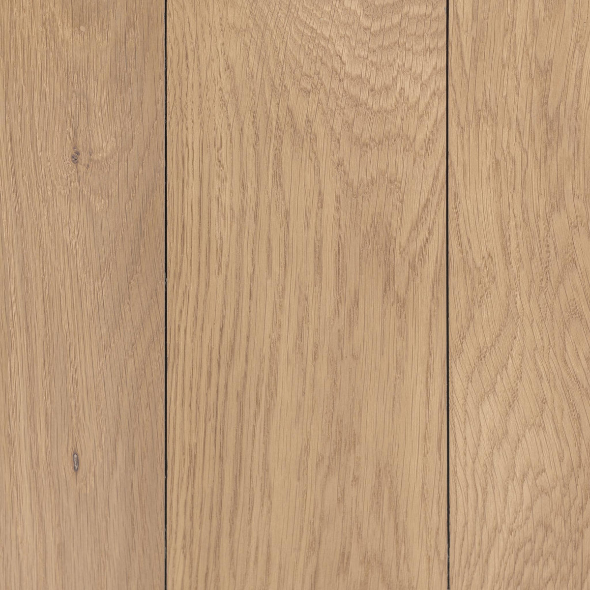 Bristol Cabinet