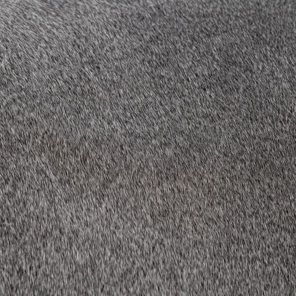 Bose Counter Stool