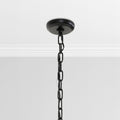 Renata Chandelier