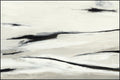 Perspective Painting Art by Buddy Whitlock