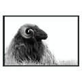 Horn Photography