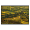 Vinyard Photography