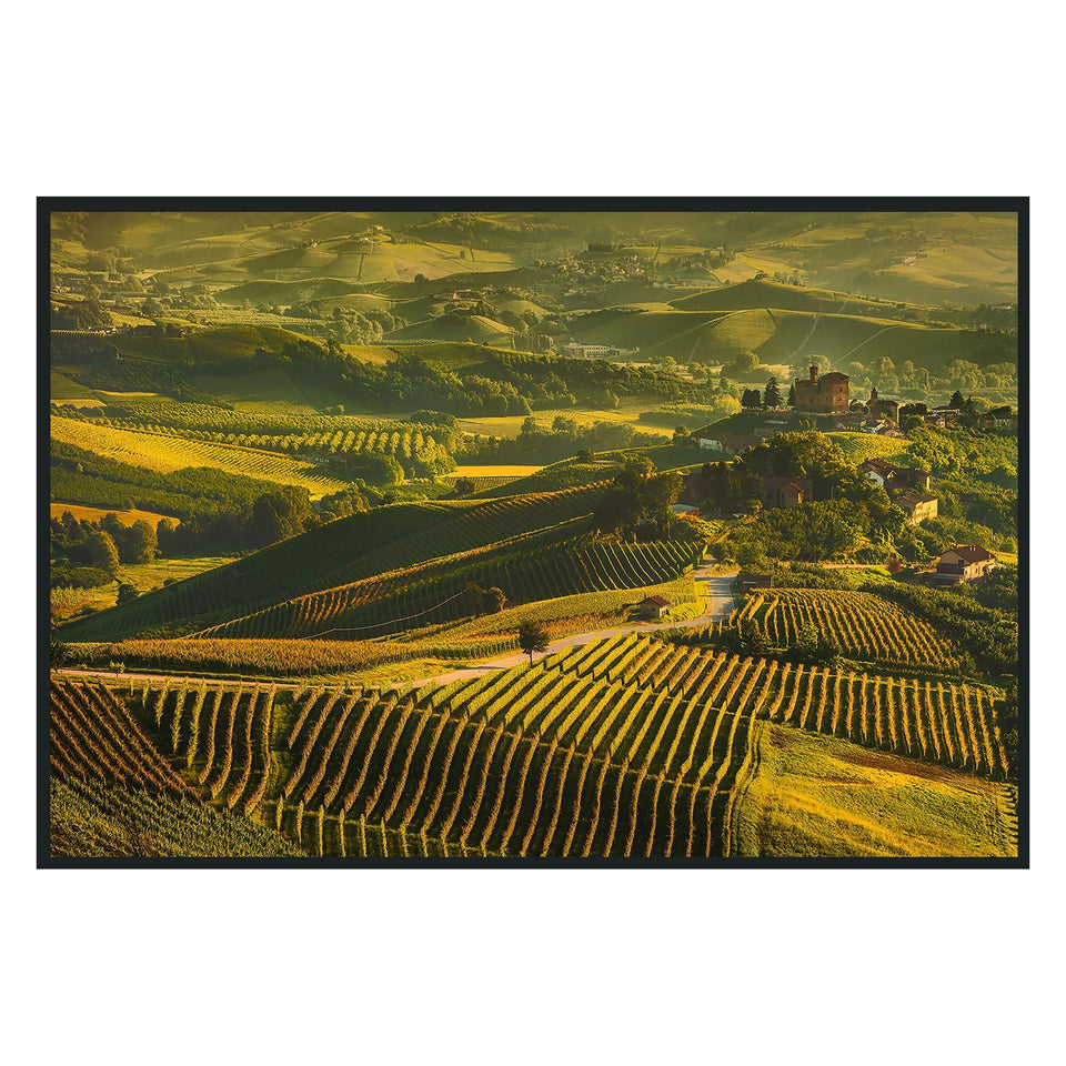 Vinyard Photography