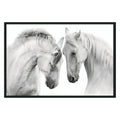 White Horses  Photography
