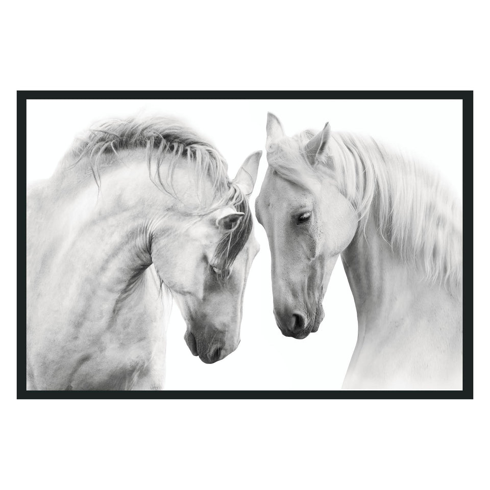 White Horses  Photography