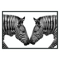 Zebras Photography