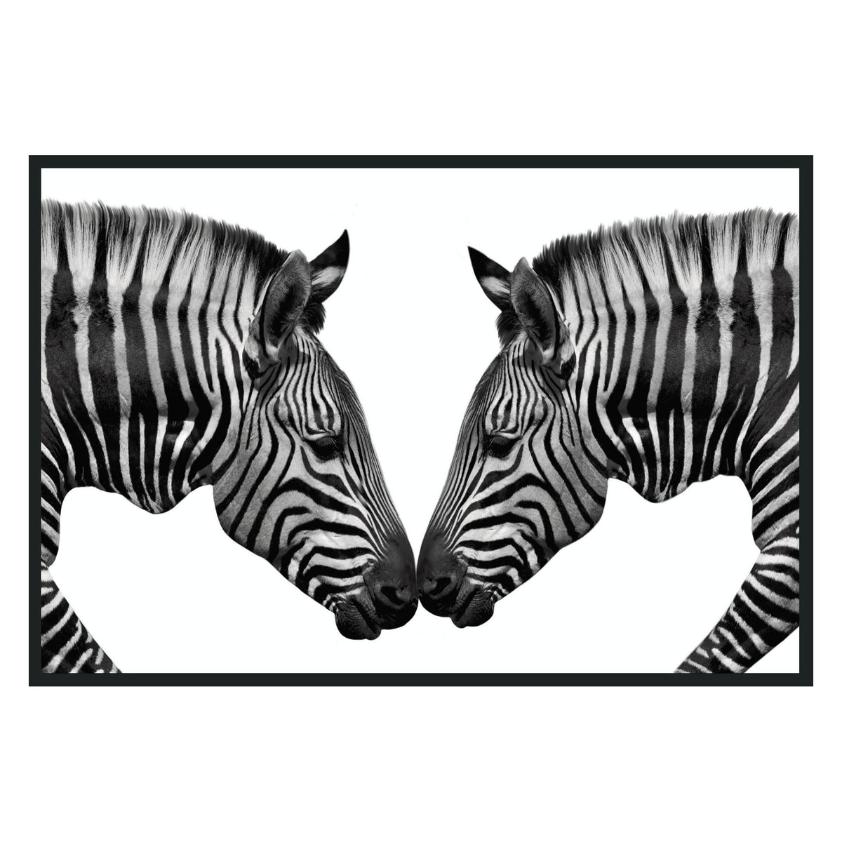 Zebras Photography