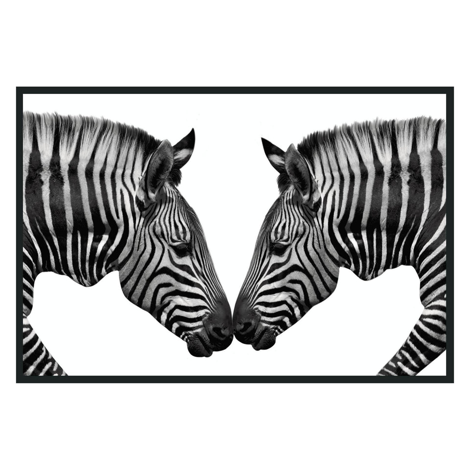 Zebras Photography