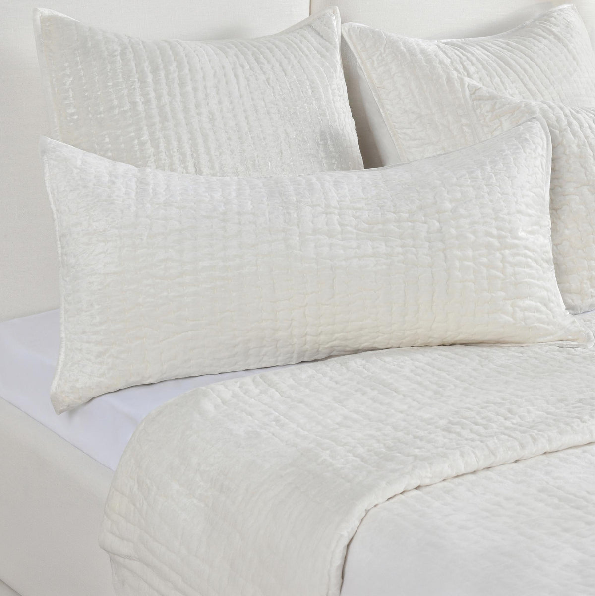 Bari Velvet Quilt Collection