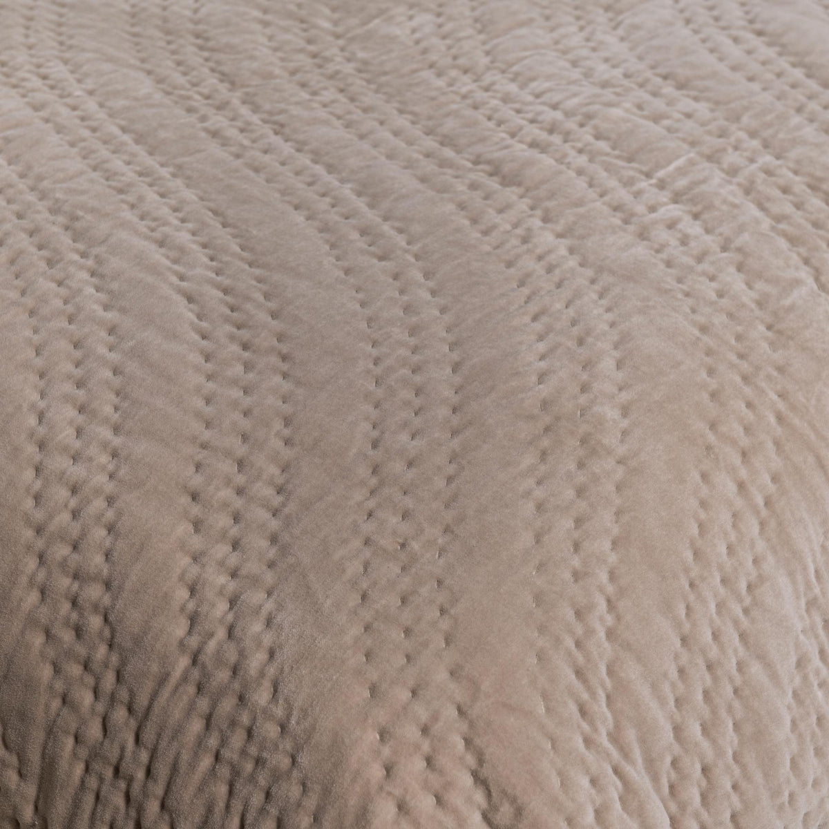 Elms Velvet Quilt Collection