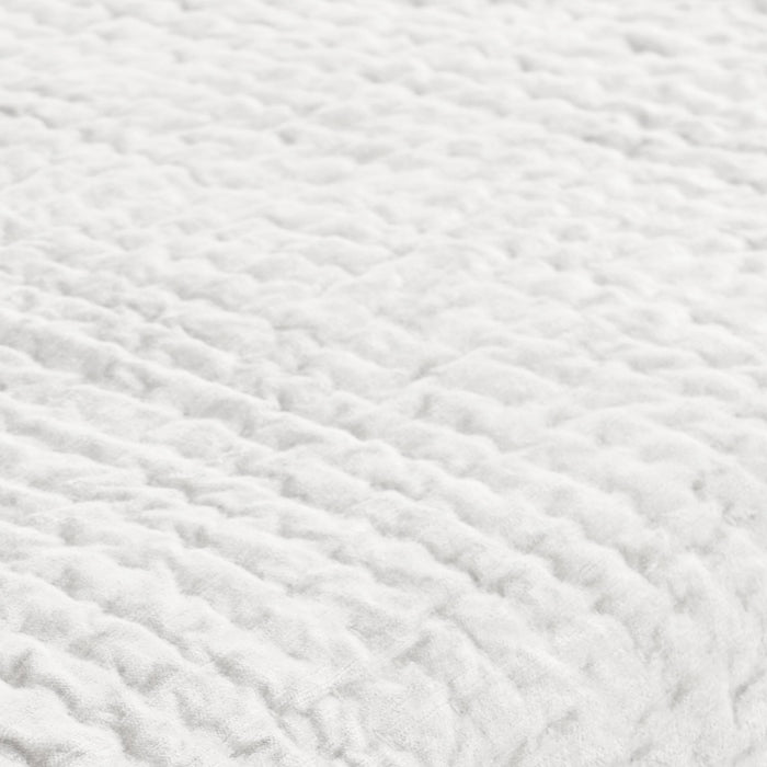 Bari Velvet Quilt Collection