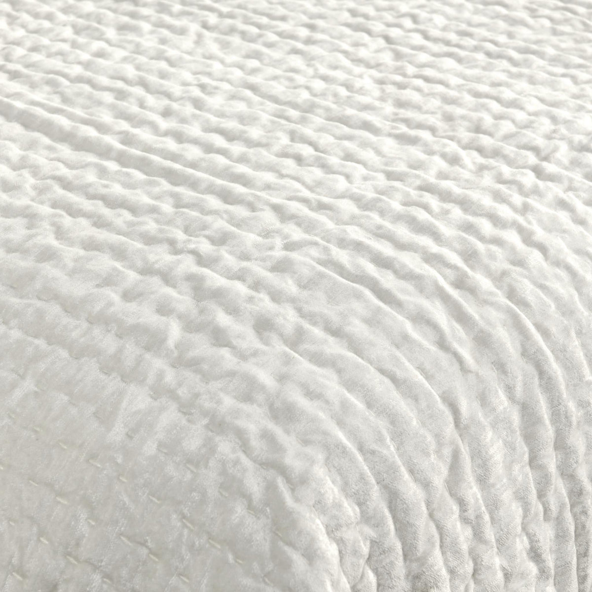 Bari Velvet Quilt Collection