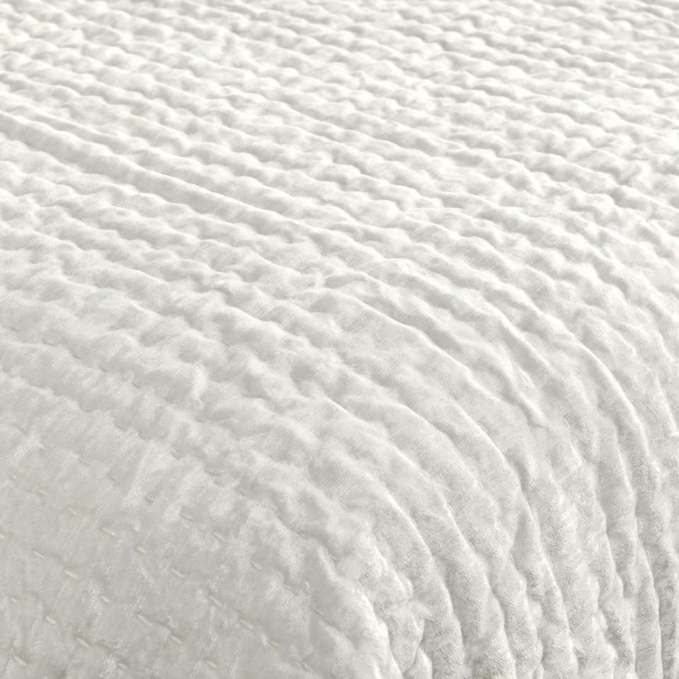 Bari Velvet Quilt Collection