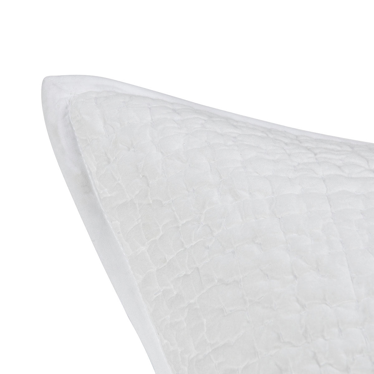 Danica Quilt Collection