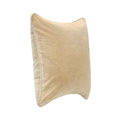 SLD Heirloom Velvet Pillow