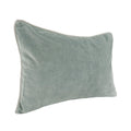 SLD Heirloom Velvet Pillow