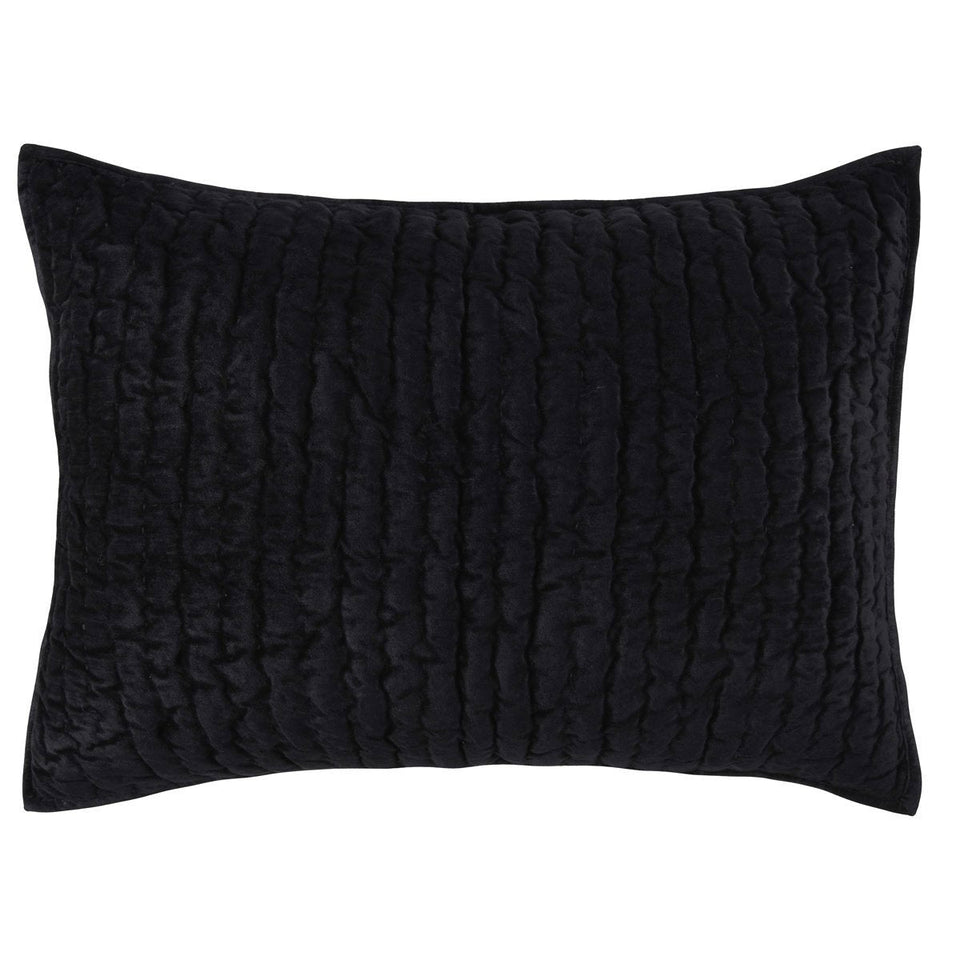Bari Velvet Quilt Collection