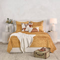 Bari Velvet Quilt Collection