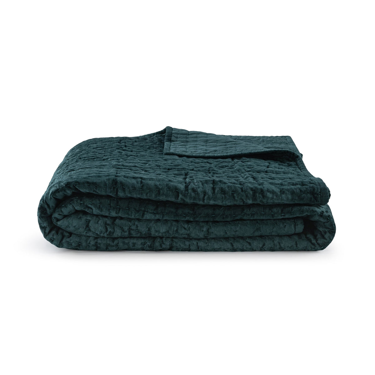 Bari Velvet Quilt Collection