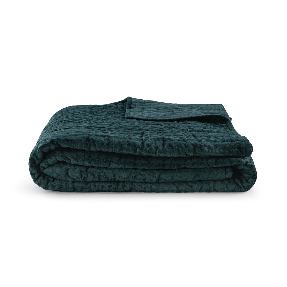 Bari Velvet Quilt Collection